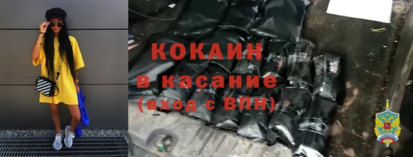 гашик Арсеньев
