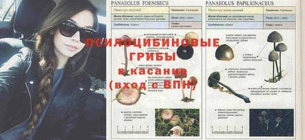 гашик Арсеньев