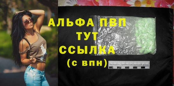 крисы Аркадак