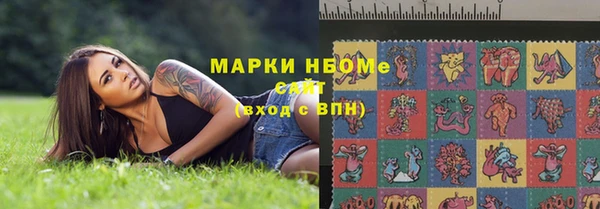 гашик Арсеньев