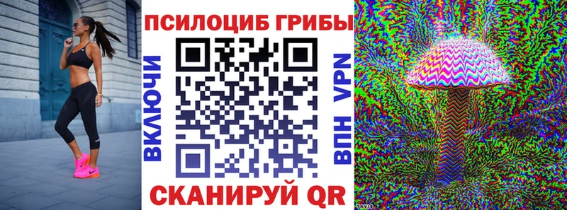 Псилоцибиновые грибы Psilocybine cubensis  kraken как войти  Терек 
